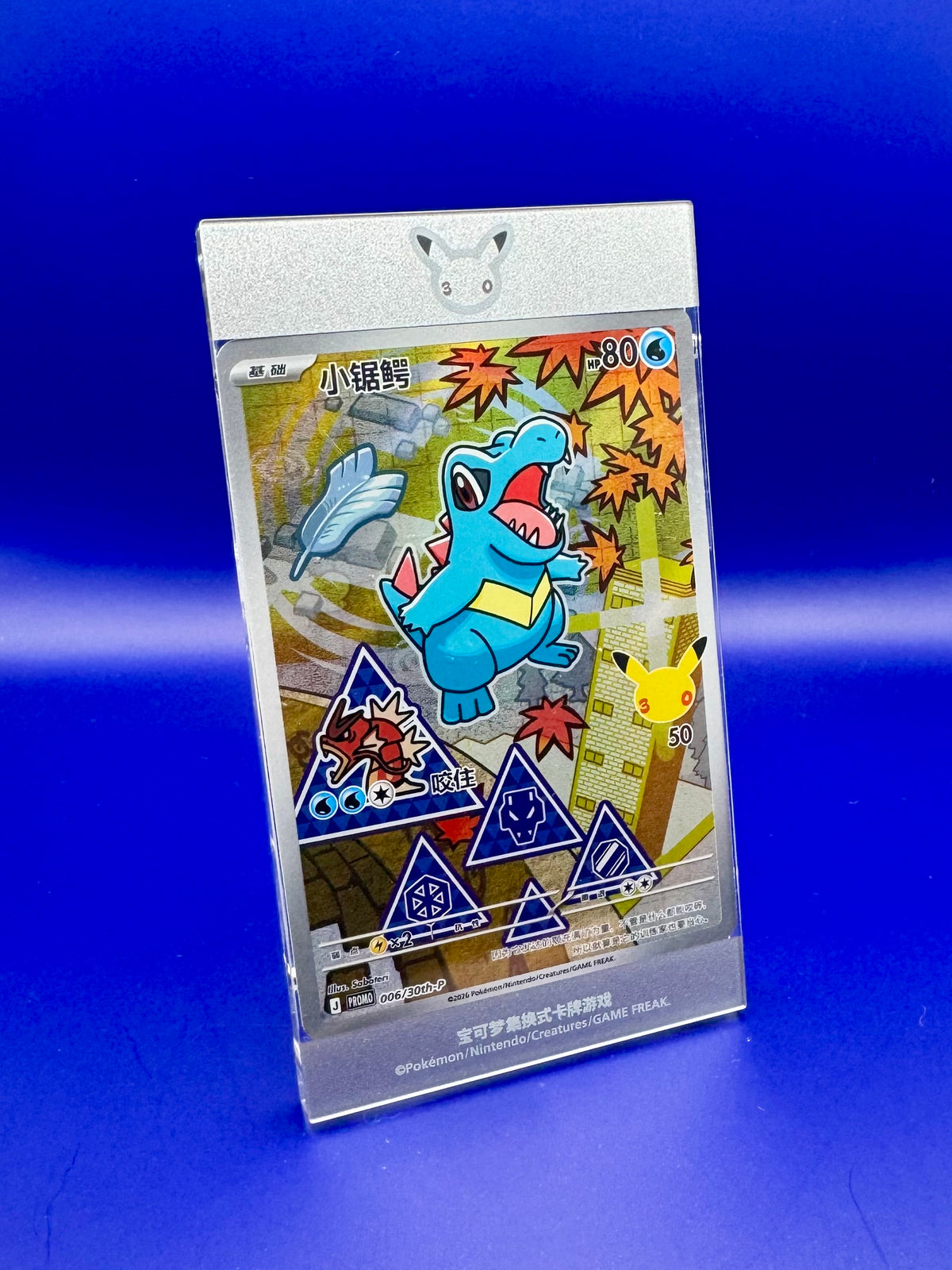 Totodile First Partners Collection
