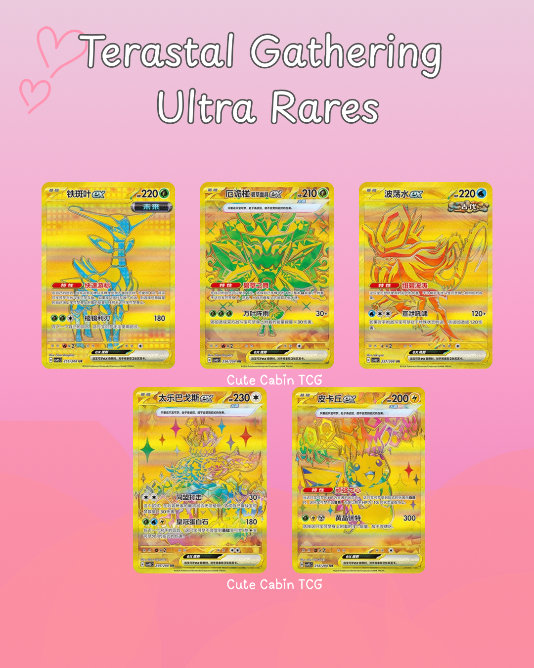 Terastal Grand Gathering Coin Set